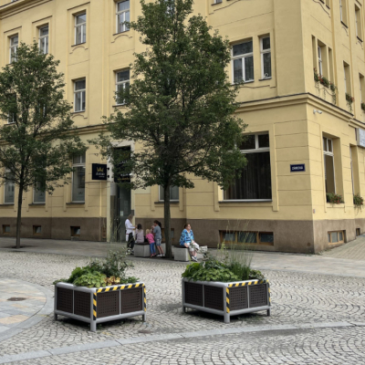 Zlaťáky