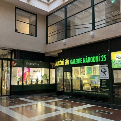 Galerie Národní 25