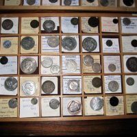 Bleší trh Olomouc, Olomouc