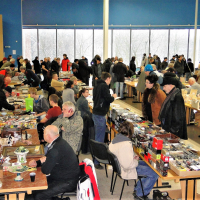 Bleší trh Ostrava, Ostrava